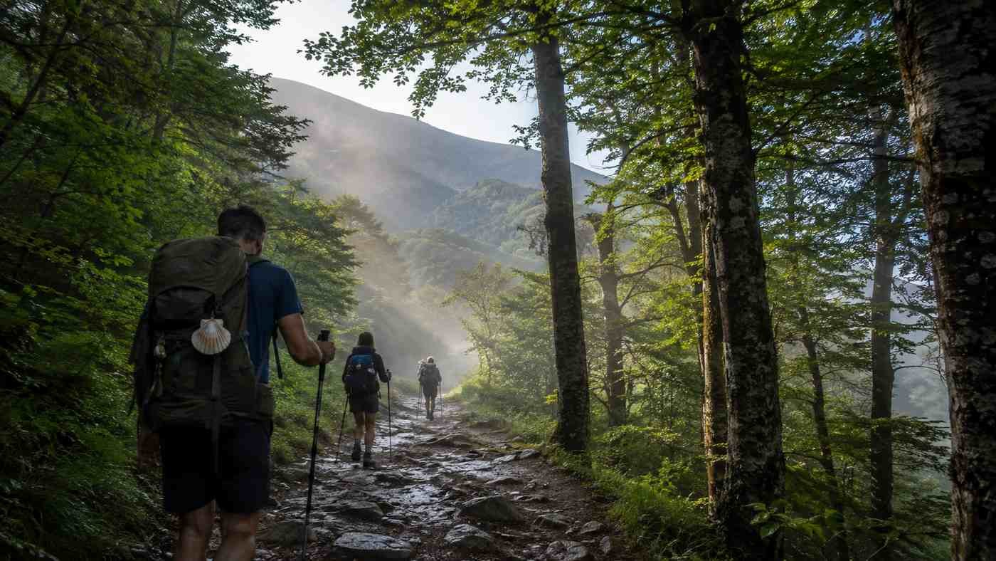 Camino de Santiago desde Roncesvalles: el arranque navarro